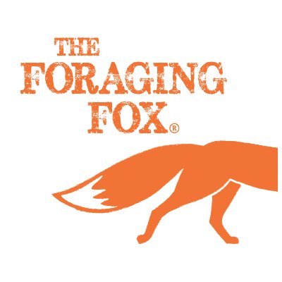 The foraging fox